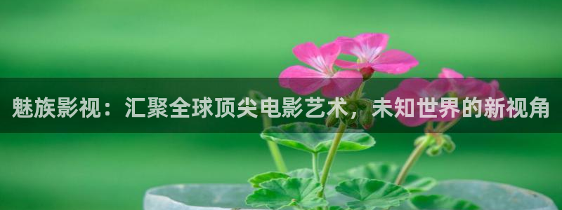 私人家庭影院需要多少钱